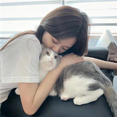 美食妙探